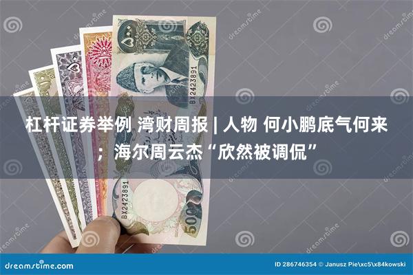 杠杆证券举例 湾财周报 | 人物 何小鹏底气何来；海尔周云杰“欣然被调侃”