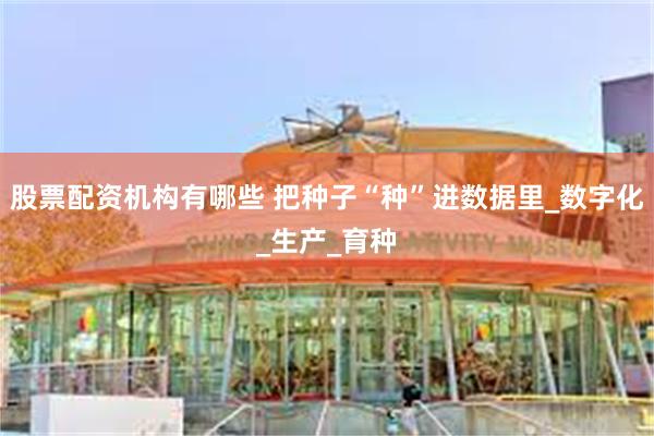 股票配资机构有哪些 把种子“种”进数据里_数字化_生产_育种