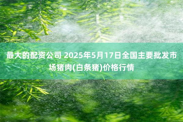 最大的配资公司 2025年5月17日全国主要批发市场猪肉(白条猪)价格行情