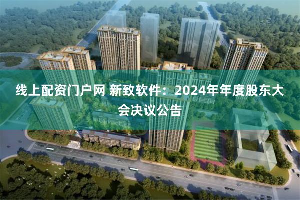 线上配资门户网 新致软件：2024年年度股东大会决议公告