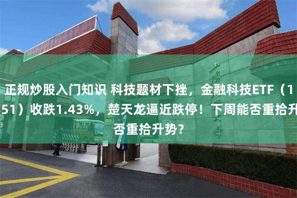 正规炒股入门知识 科技题材下挫，金融科技ETF（159851）收跌1.43%，楚天龙逼近跌停！下周能否重拾升势？