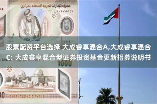 股票配资平台选择 大成睿享混合A,大成睿享混合C: 大成睿享混合型证券投资基金更新招募说明书