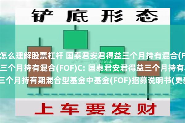 怎么理解股票杠杆 国泰君安君得益三个月持有混合(FOF)A,国泰君安君得益三个月持有混合(FOF)C: 国泰君安君得益三个月持有期混合型基金中基金(FOF)招募说明书(更新)(2025年第2号)