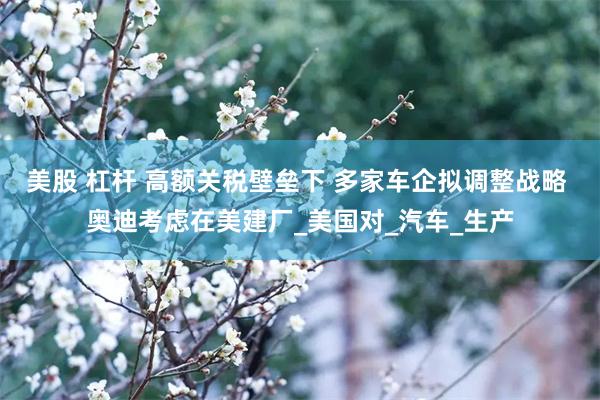 美股 杠杆 高额关税壁垒下 多家车企拟调整战略 奥迪考虑在美建厂_美国对_汽车_生产