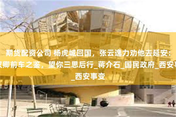 期货配资公司 杨虎城回国，张云逸力劝他去延安：张汉卿前车之鉴，望你三思后行_蒋介石_国民政府_西安事变
