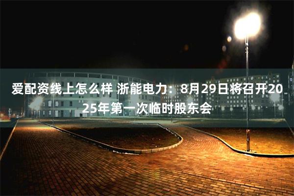 爱配资线上怎么样 浙能电力：8月29日将召开2025年第一次临时股东会